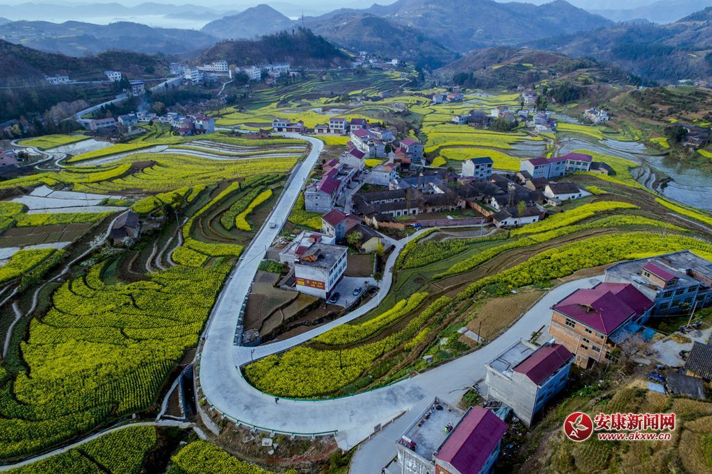 PߴɫzӰƤ¾SԒ(hu)h13325355508Ĕzʡhꎿhu(zhn)P߹ - .JPG