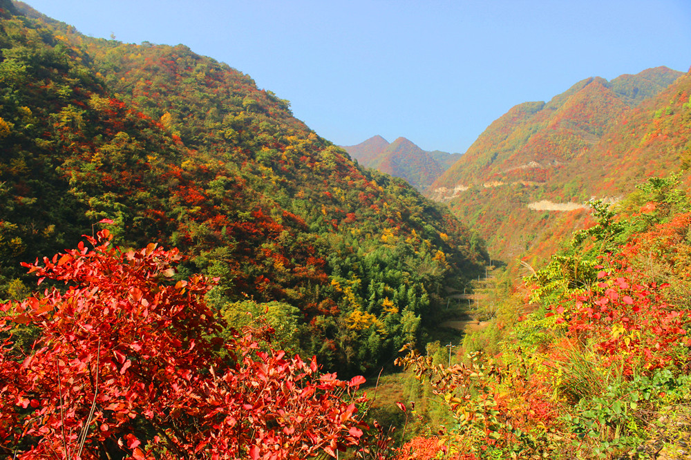 (yng)׌üt~(ji)