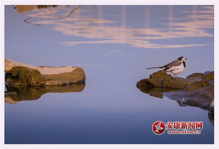 ˮһɫzӰƤ¾SfƬ2017123ʡНhĔzչF(xin)õB(ti)h(hun)(lin)ϵԒ