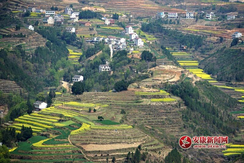 D2.̎(gu)(ni)ꑸأ(d)߁ɽɽɽص6Nεòc(din)˷Ϣ@˂ò